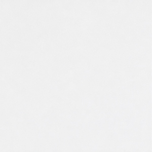 Polar White