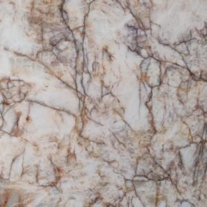 Fancy brown marble
